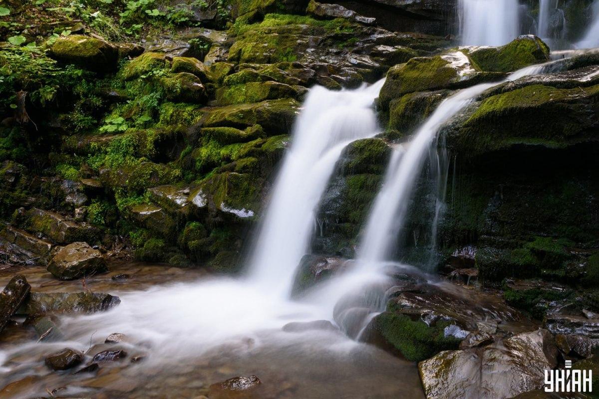 Sestavljanka z lisico - poiščite žival v 7 sekundah / Moje kolaž, Moje foto