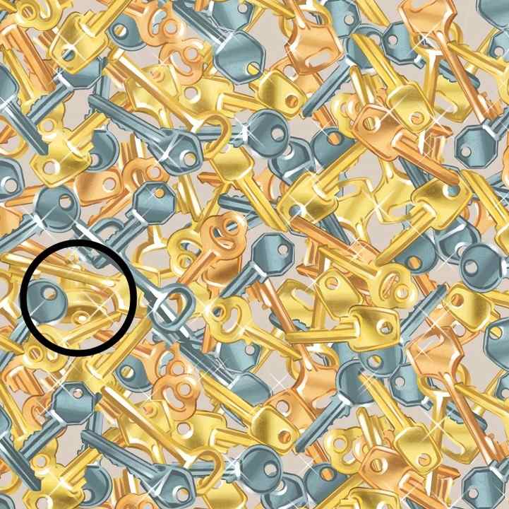 Neverjetna optična iluzija: zvonček bodo našli le ljudje z visokim IQ