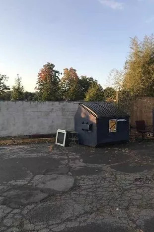 Imate najostrejše oči na svetu, če lahko opazite jelena, ki se skriva na sliki.