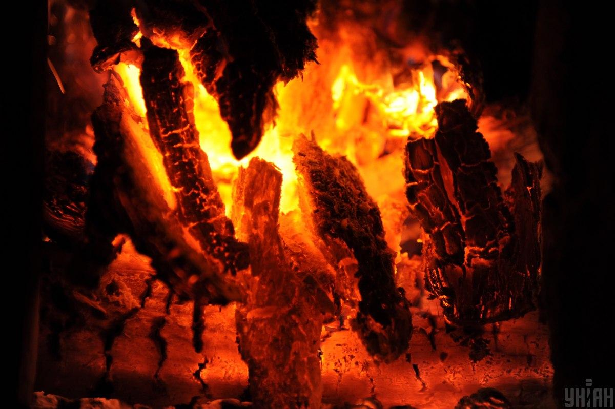 Vsa drva niso primerna za ogrevanje / foto: Moje